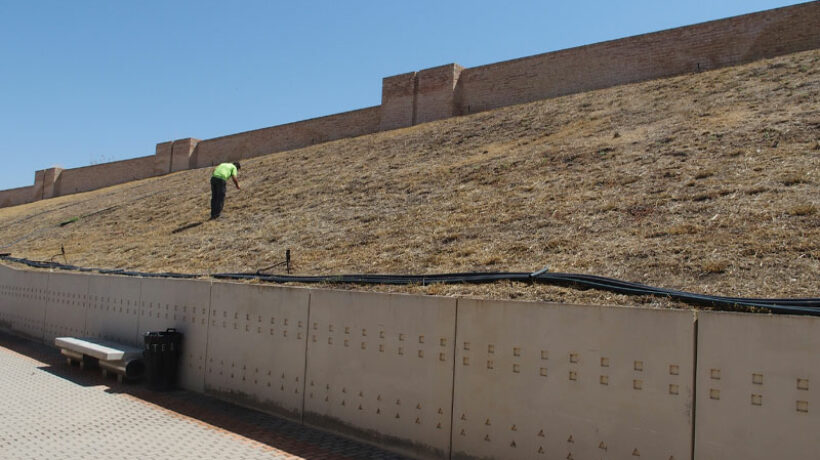 Cementerio-Villena-2