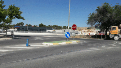 Aldi Carretera Elche