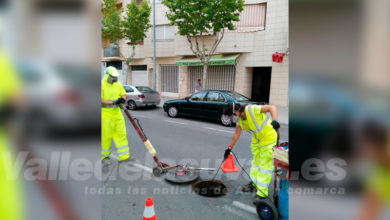 Fumigación mosquito
