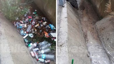 Limpieza urbana en Elda tras la gota fría