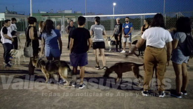 Curso de educación canina