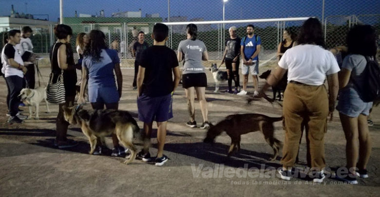 Curso de educación canina