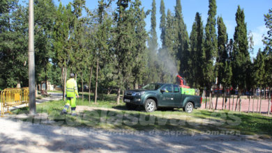 Trataminto contra los mosquitos