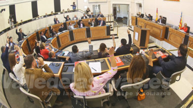 Pleno Diputación 2019
