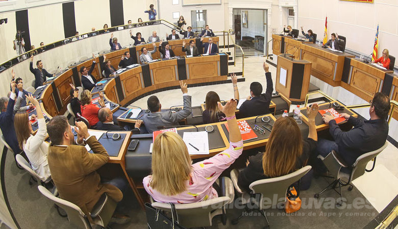 Pleno Diputación 2019