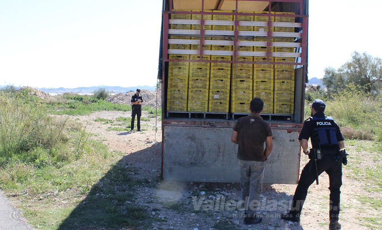 Vigilancia rural en Novelda