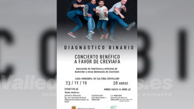 Diagnósticco Binario en Crevillent