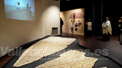 Museo Dámaso Navarro
