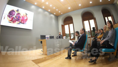 Campaña Made in Costa Blanca