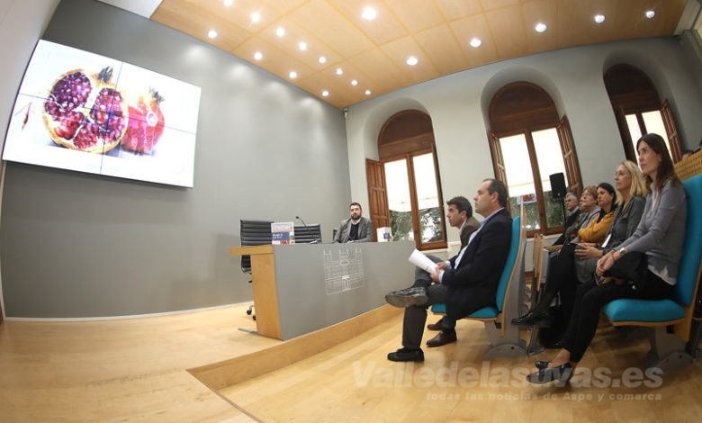 Campaña Made in Costa Blanca