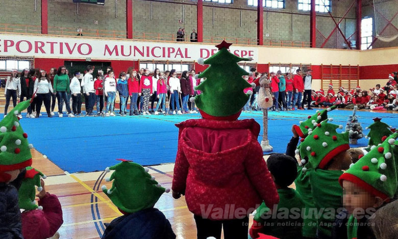 Villancicos colegio Vistahermosa Pabellon