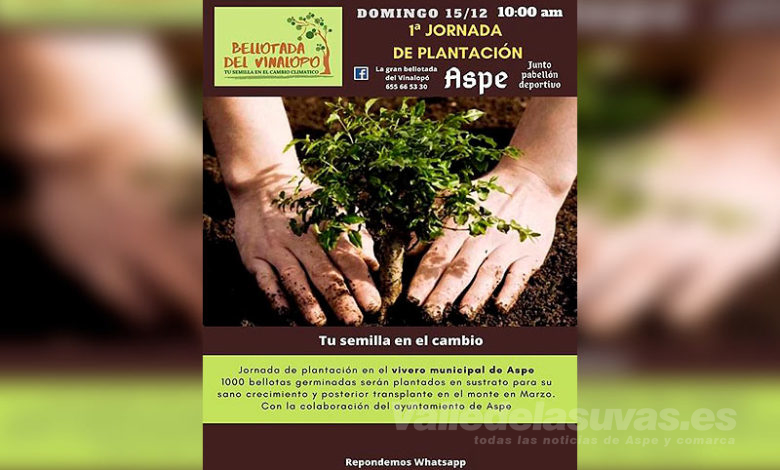 Bellotada del Vinalopó