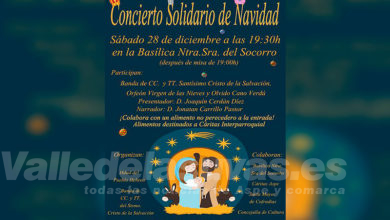 Cartel concierto solidario Navidad