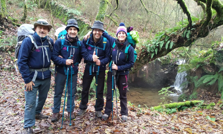 Peregrinos solidarios 2019