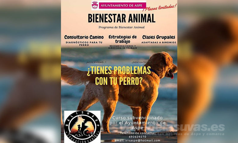 Curso Bienestar Animal