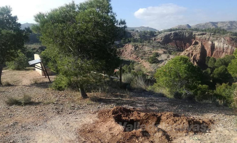 Algarrobos Algezares