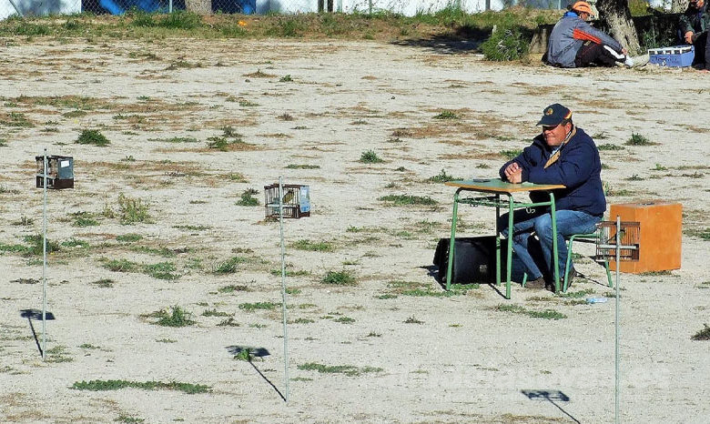 Memorial Timoteo Lavios