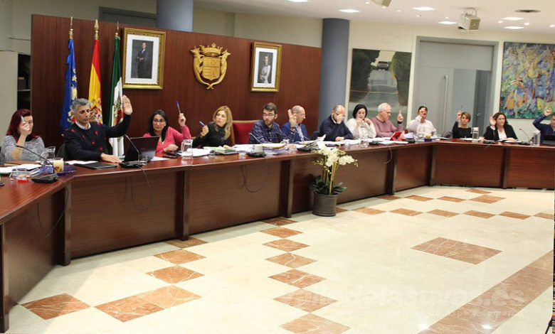 Pleno Municipal Novelda