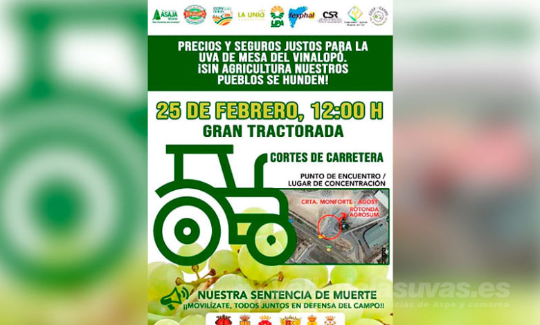 Movilización uva embolsada