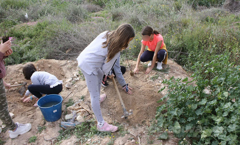 Medio Ambiente Novelda