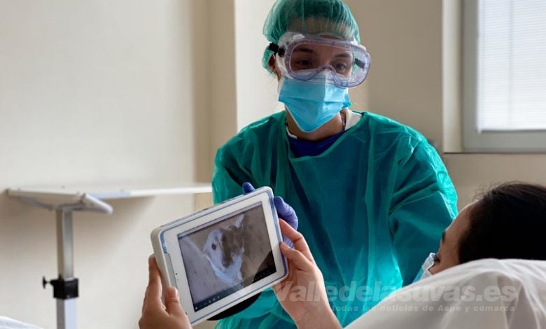 Vinalopó Mascotas Virtuales