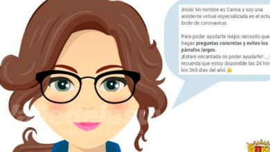 Novelda web