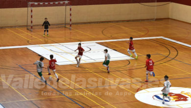 Ayudas deportivas