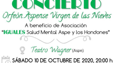 Concierto Orfeón Iguales