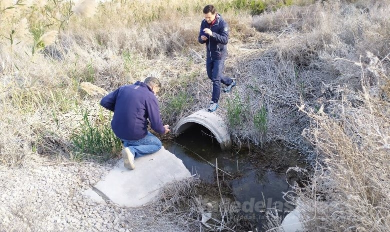 Diputación Alicante