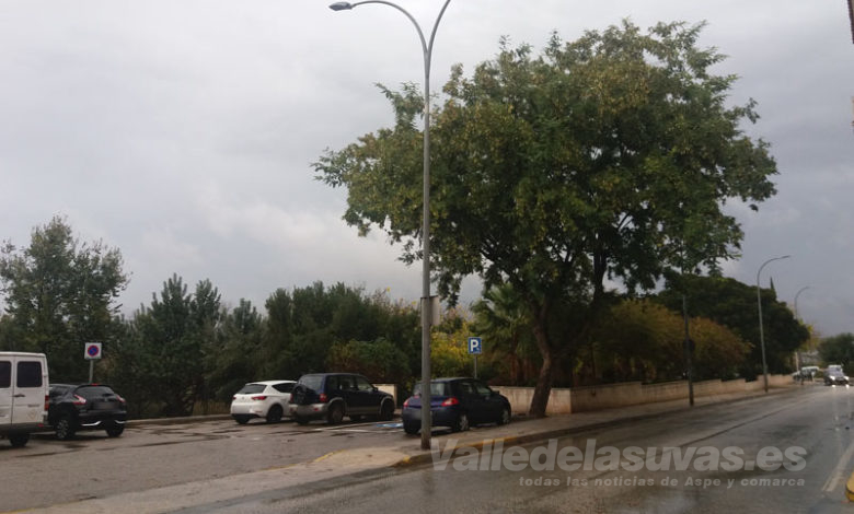 Aspemeteo Celsiusman