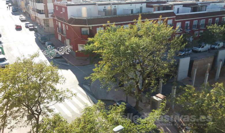 Avenida Nía Coca Aspe