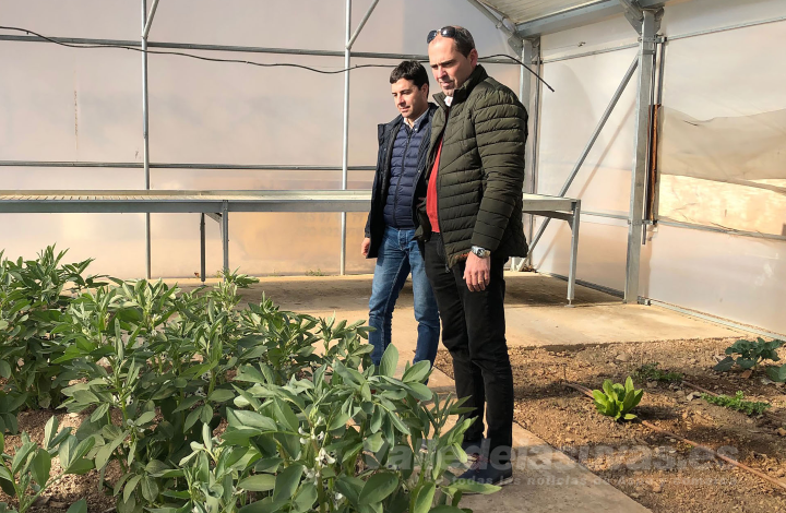 Incendios Forestales