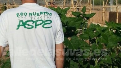 Huerto Aspe