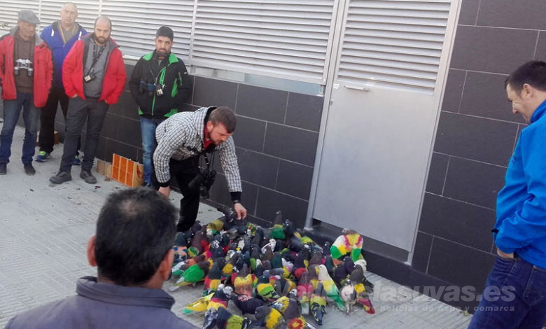 Club de Colombicultura El Nido