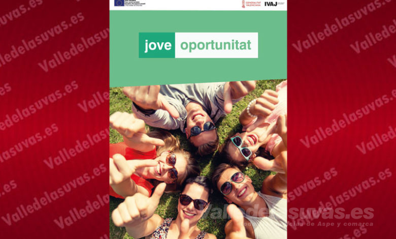 Programa Jove Oportunitat