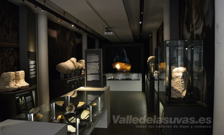 Museo Ibero Monforte del Cid