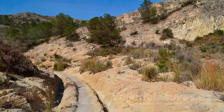 Elisabet Ramos Alonso