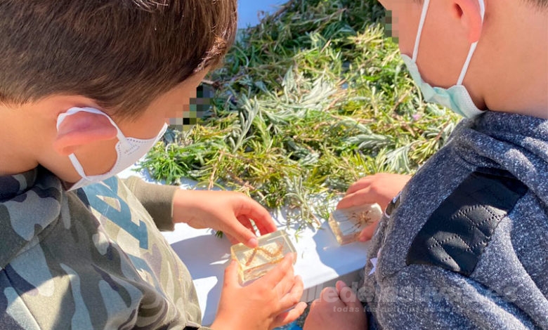 Huertos Urbanos Municipales de Aspe